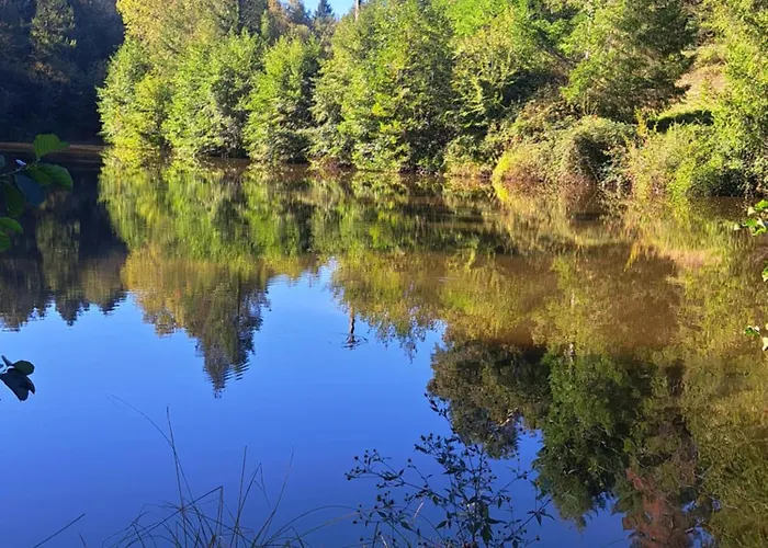 Lavallade 12 Сasa de vacaciones Roussines